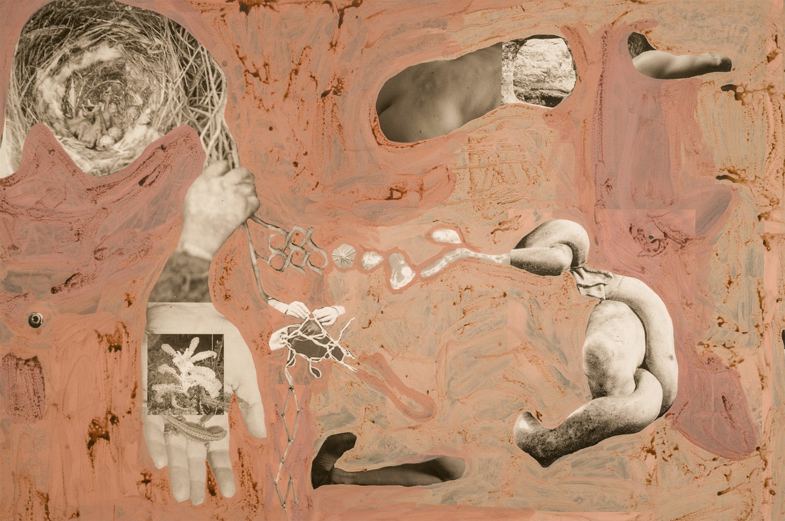 圖十二、《地勢 (關(guān)于時間，關(guān)于身體)》 (細(xì)節(jié)圖)，O?zlem Alt?n，2019