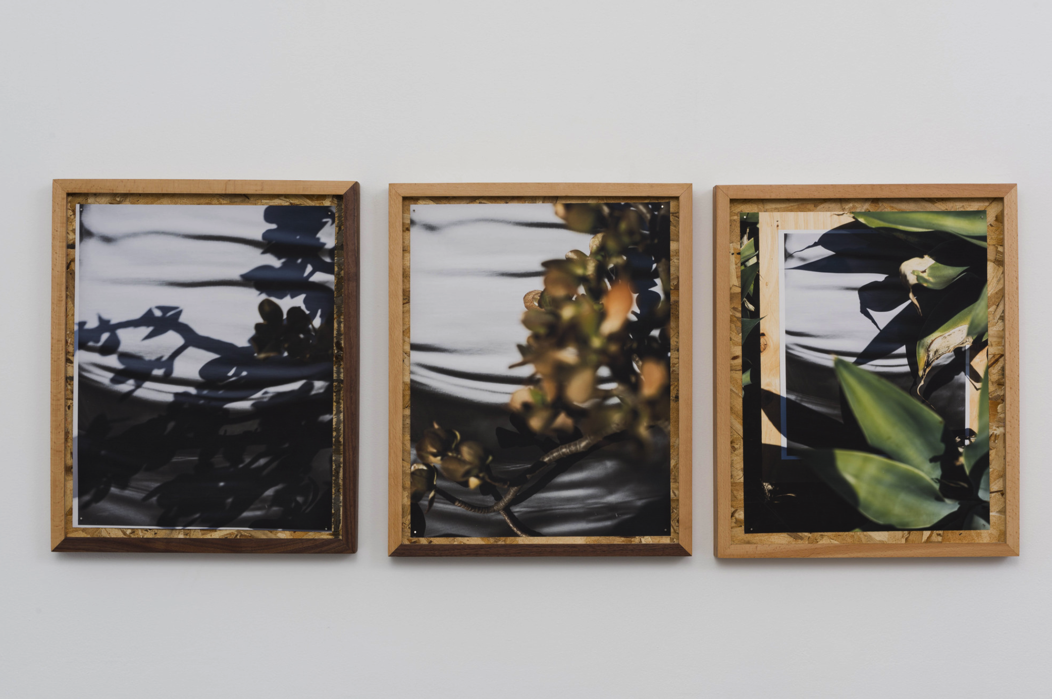 圖四、從左至右《庫卡蒙格牧場 34.1064° N, 117.5931° W. 》2018《回聲公園 34.0782° N, 118.2606° W.》 2018《康普頓 33.8958° N, 118.2201° W. 2018》David Alekhuogie